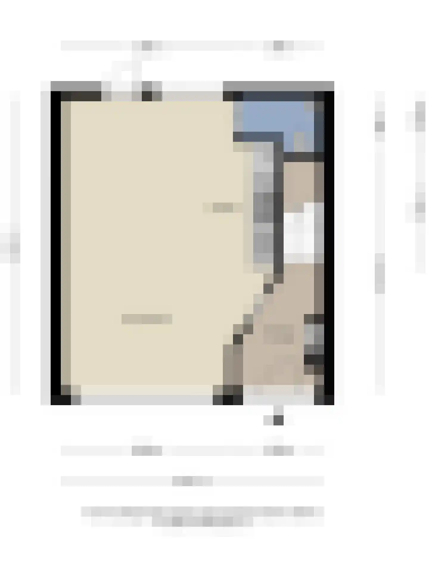 Jan Steenstraat 37 Schiedam thumbnail 31