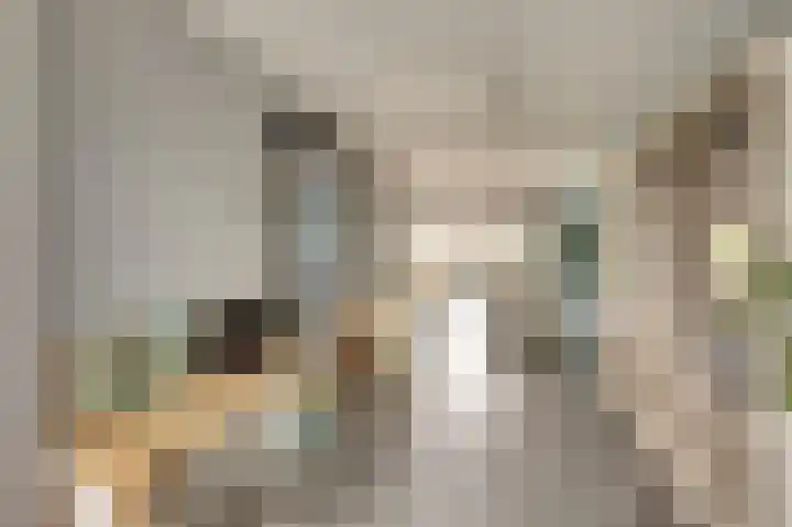 Jan Steenstraat 4 Dronten thumbnail 12