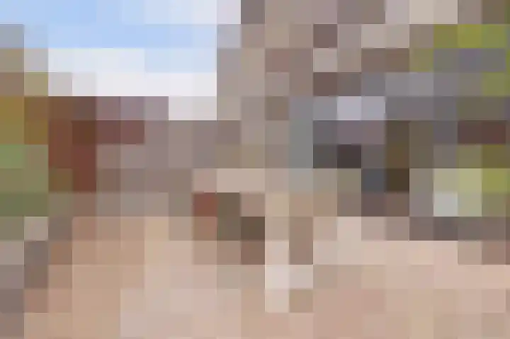 Jan Steenstraat 4 Dronten thumbnail 41