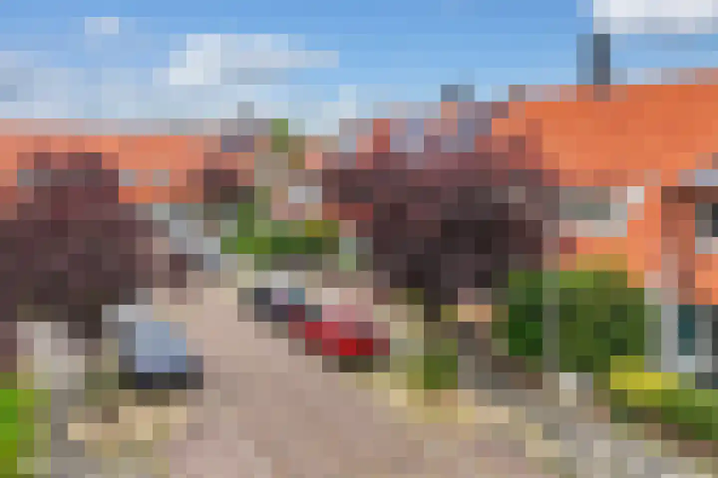 Jan Steenstraat 4 Leeuwarden thumbnail 50
