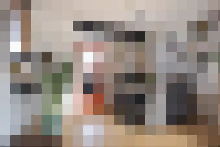 Jan Steenstraat 4 Roosendaal thumbnail 5