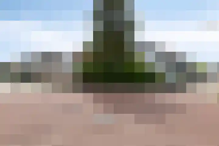 Jan Steenstraat 40 Krimpen aan den IJssel thumbnail 8