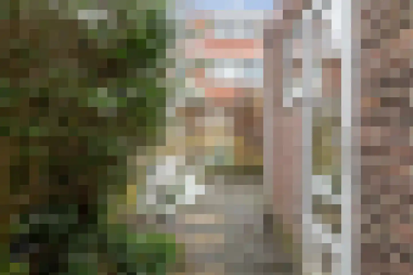 Jan Steenstraat 43 Haarlem thumbnail 13