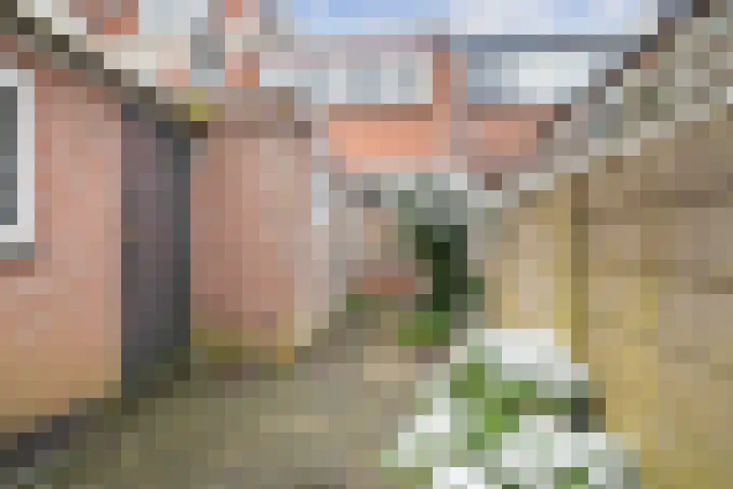 Jan Steenstraat 43 Haarlem thumbnail 15