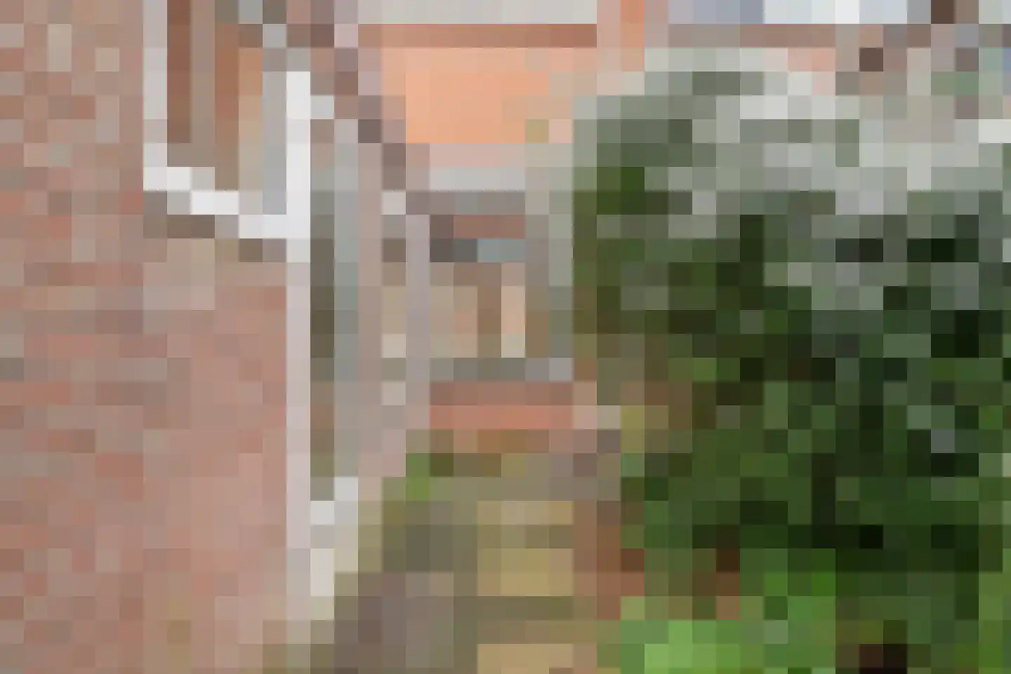 Jan Steenstraat 43 Haarlem thumbnail 16