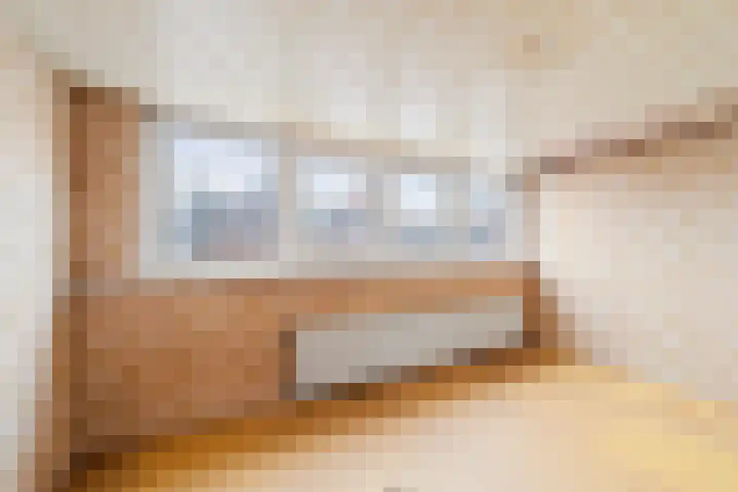 Jan Steenstraat 43 Haarlem thumbnail 29