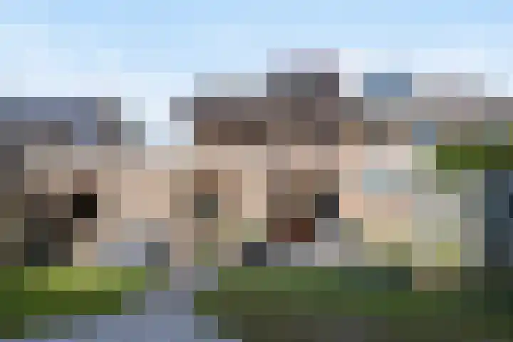 Jan Steenstraat 44 Waalwijk thumbnail 34