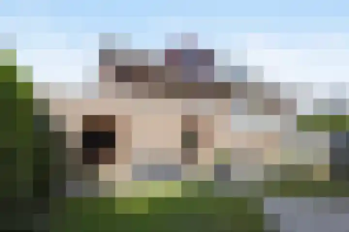Jan Steenstraat 44 Waalwijk thumbnail 6