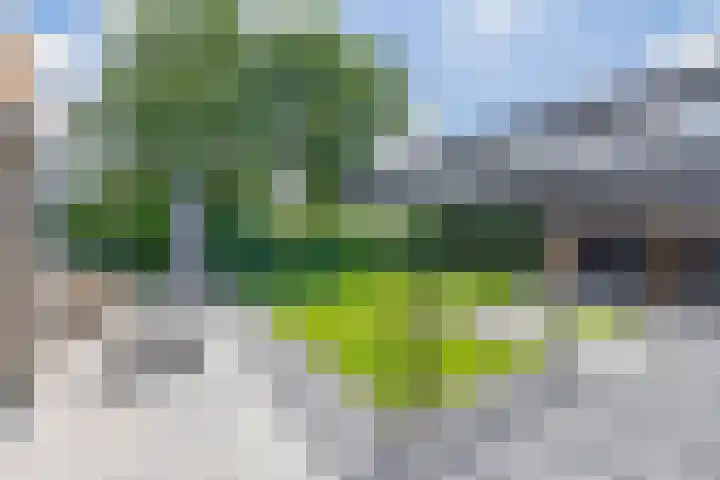 Jan Steenstraat 46 a Krimpen aan den IJssel thumbnail 60