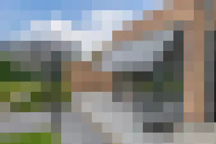 Jan Steenstraat 46 a Krimpen aan den IJssel thumbnail 63