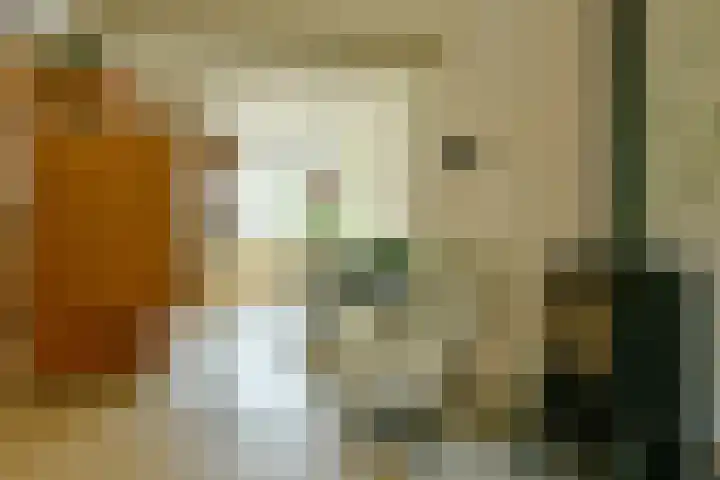 Jan Steenstraat 47 Haarlem thumbnail 5