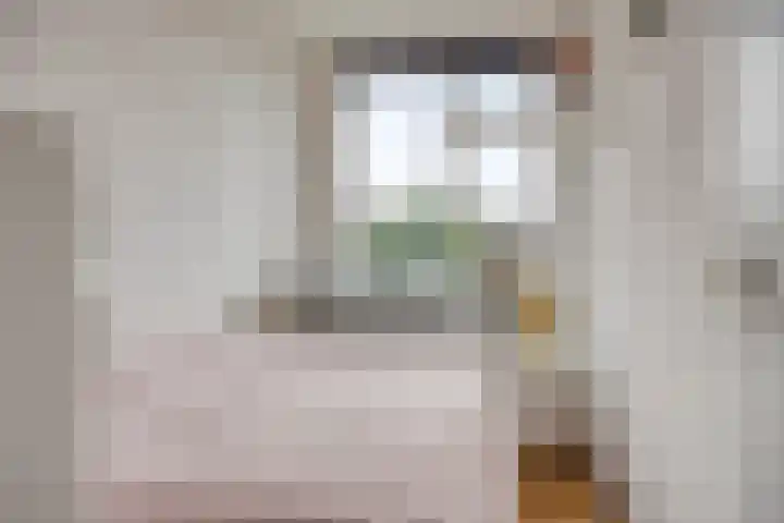 Jan Steenstraat 5 A Spijkenisse thumbnail 12