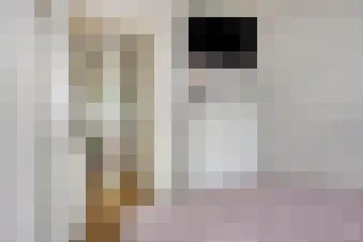 Jan Steenstraat 5 A Spijkenisse thumbnail 13