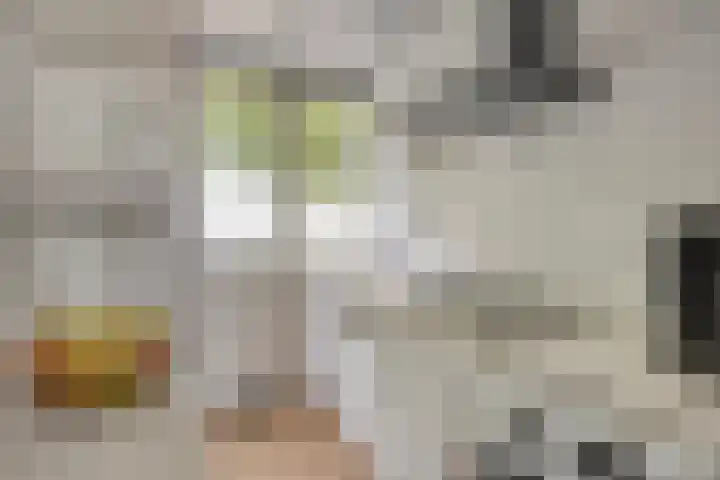 Jan Steenstraat 5 A Spijkenisse thumbnail 6