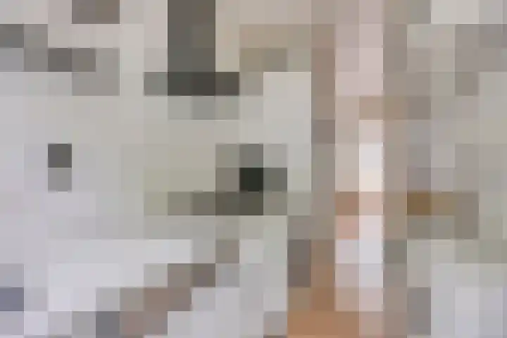 Jan Steenstraat 5 A Spijkenisse thumbnail 7
