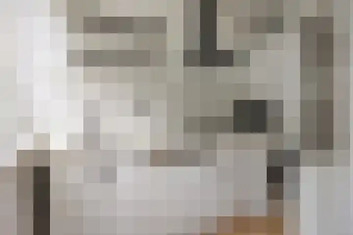 Jan Steenstraat 5 A Spijkenisse thumbnail 8