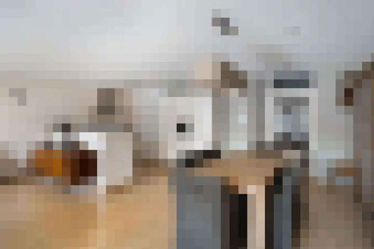 Jan Steenstraat 52 Alkmaar thumbnail 21