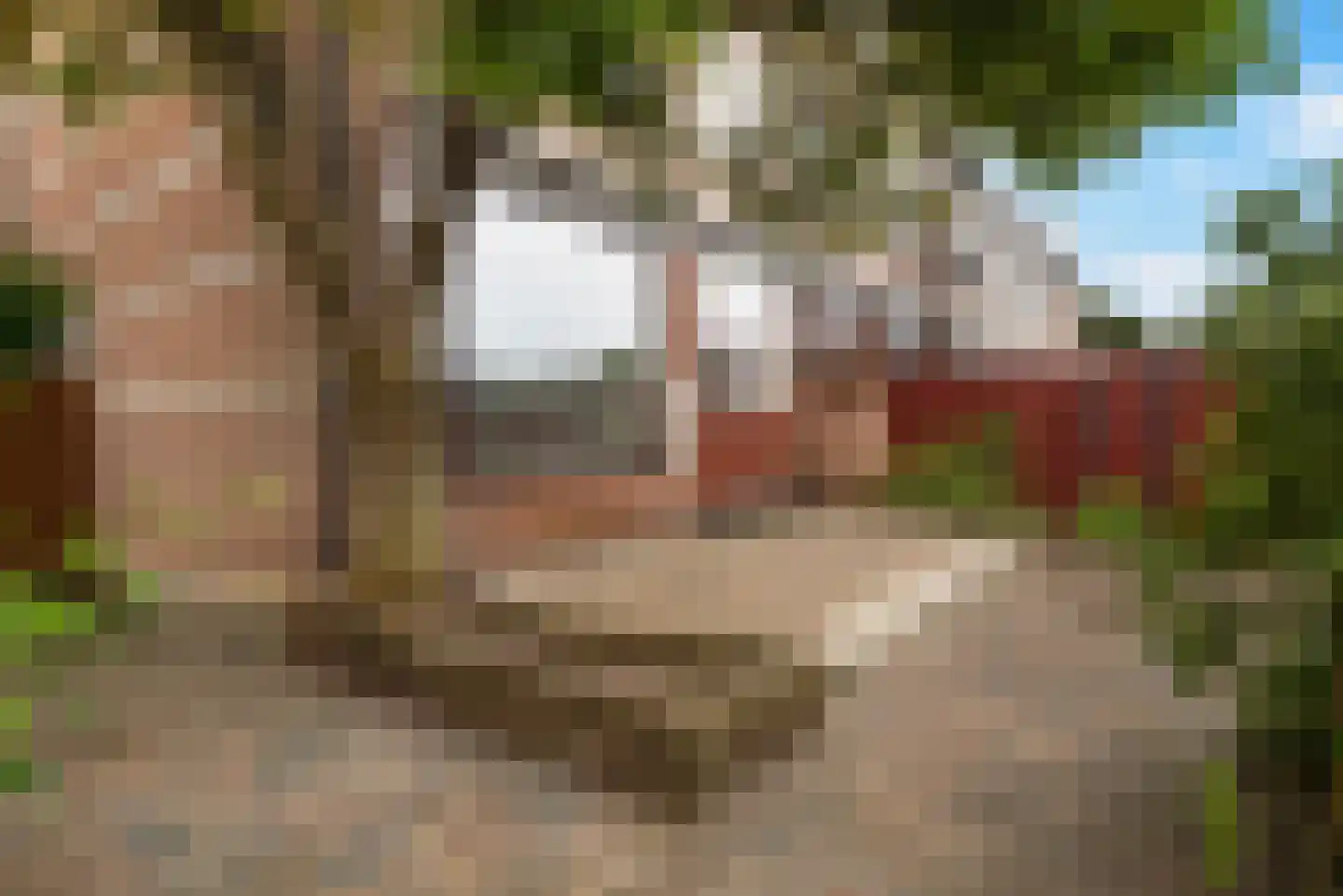 Jan Steenstraat 53 Krimpen aan den IJssel thumbnail 12