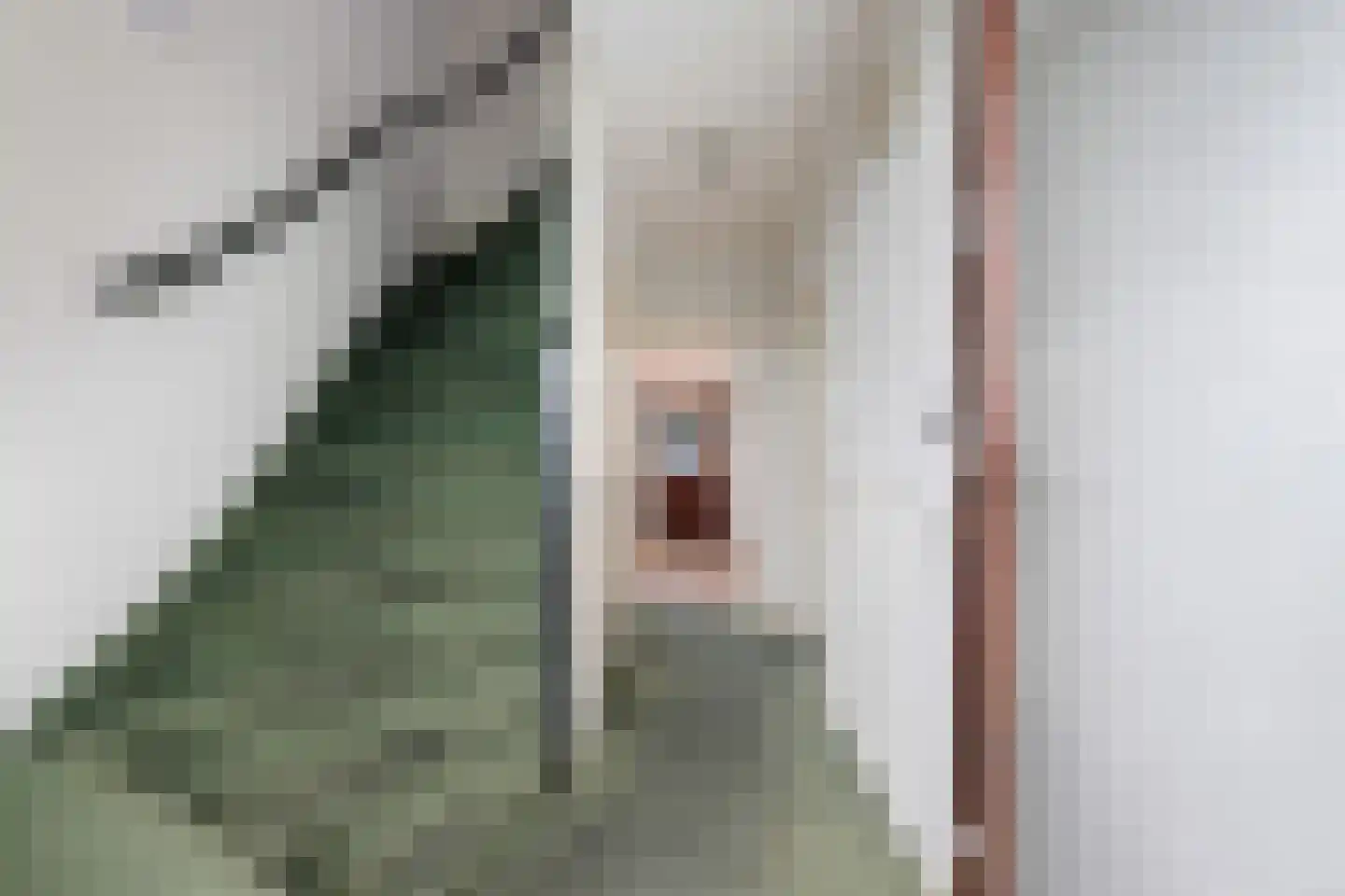 Jan Steenstraat 53 Krimpen aan den IJssel thumbnail 8