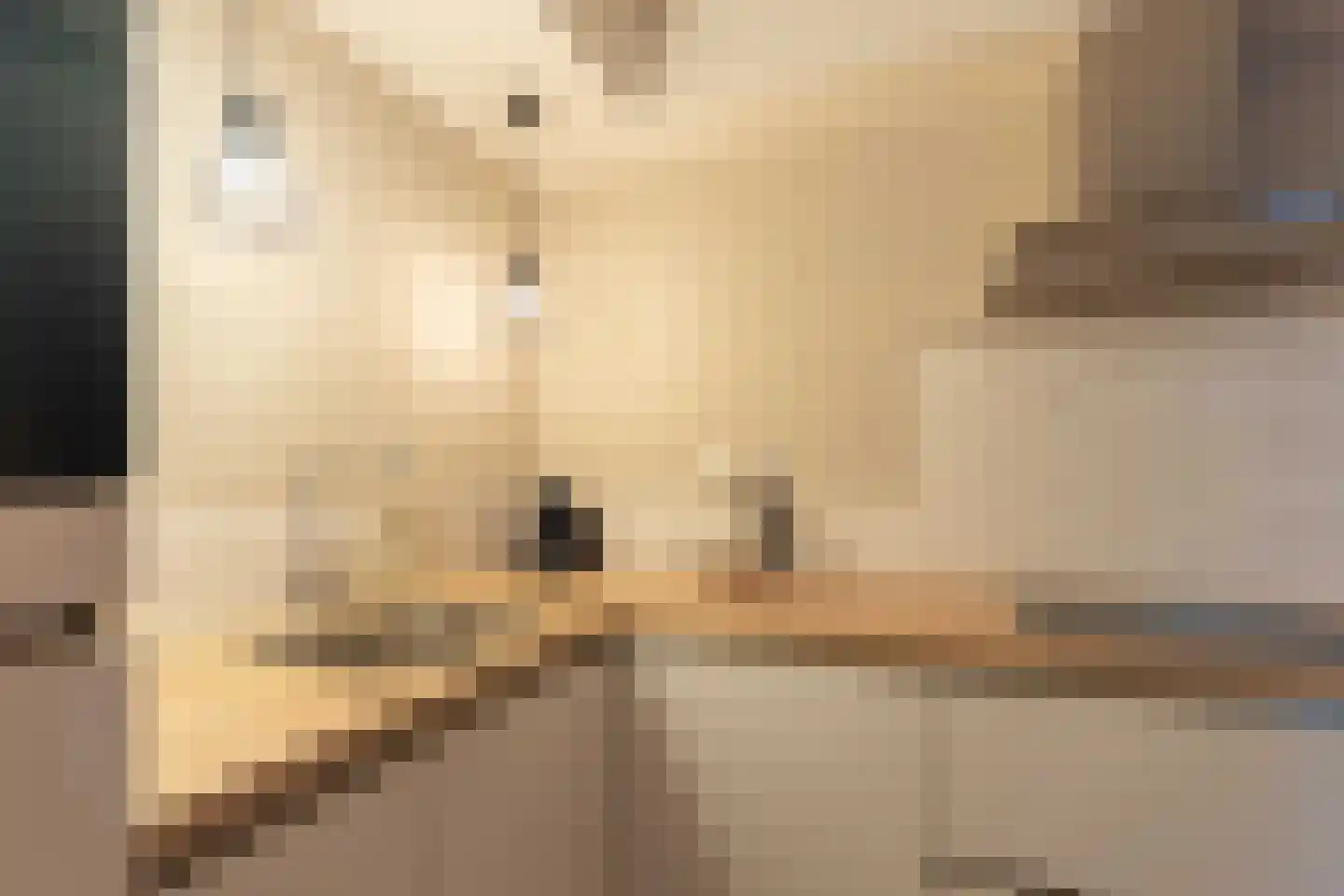 Jan Steenstraat 6 Goes thumbnail 25