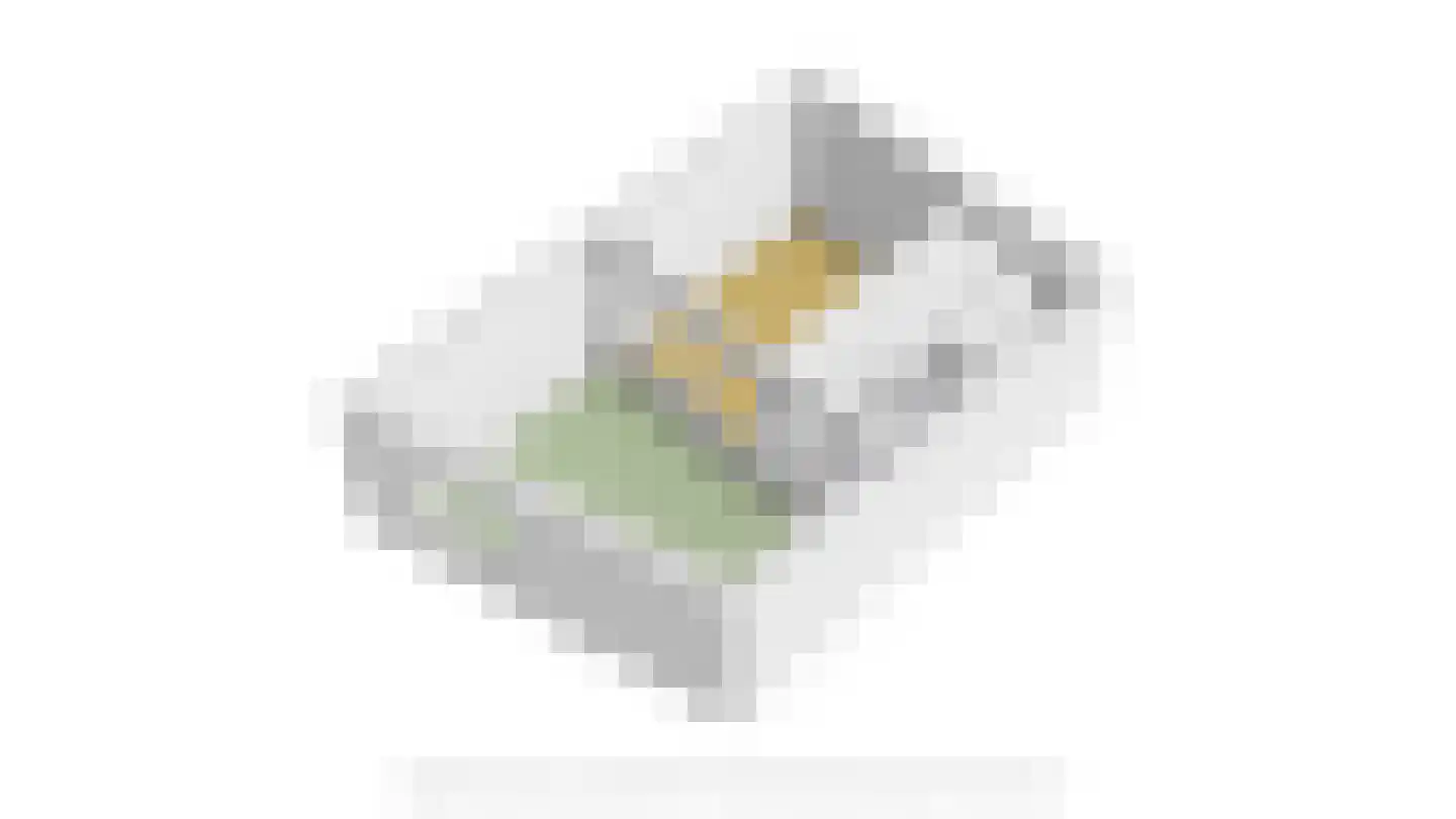 Jan Steenstraat 6 Goes thumbnail 83