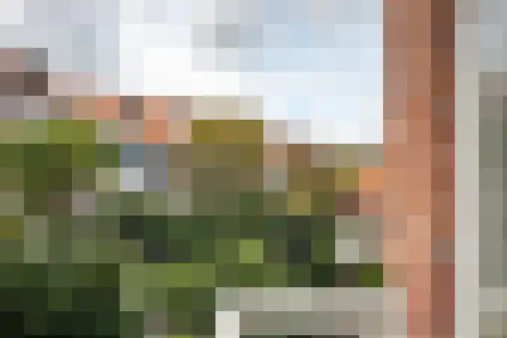 Jan Steenstraat 62 Haarlem thumbnail 26