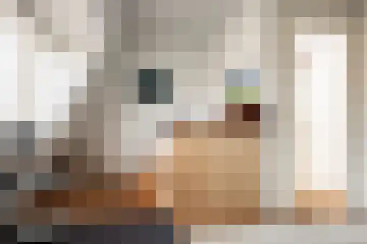 Jan Steenstraat 62 Haarlem thumbnail 46