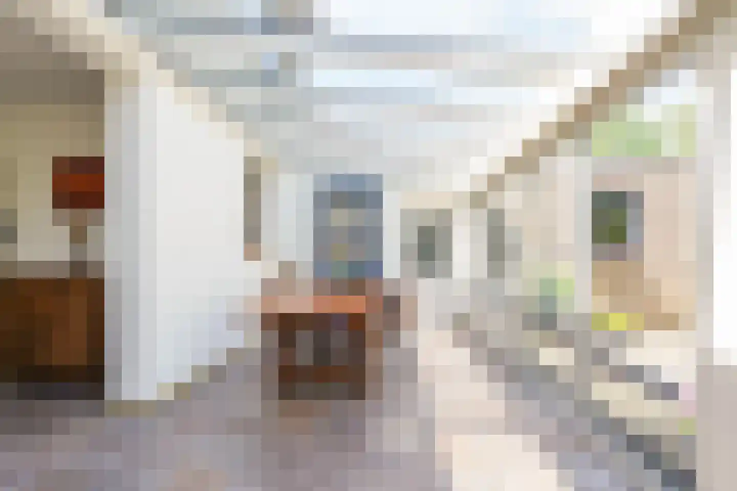 Jan Steenstraat 62 Waalwijk thumbnail 17