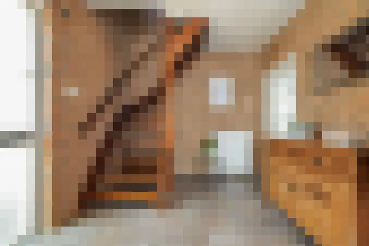 Jan Steenstraat 62 Waalwijk thumbnail 7