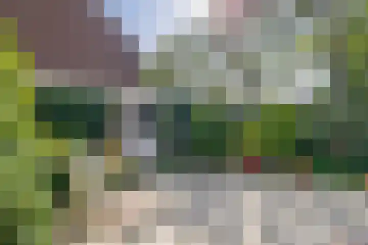 Jan Steenstraat 63 Lisse thumbnail 23