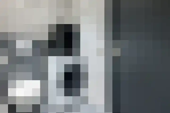 Jan Steenstraat 64 Voorthuizen thumbnail 15