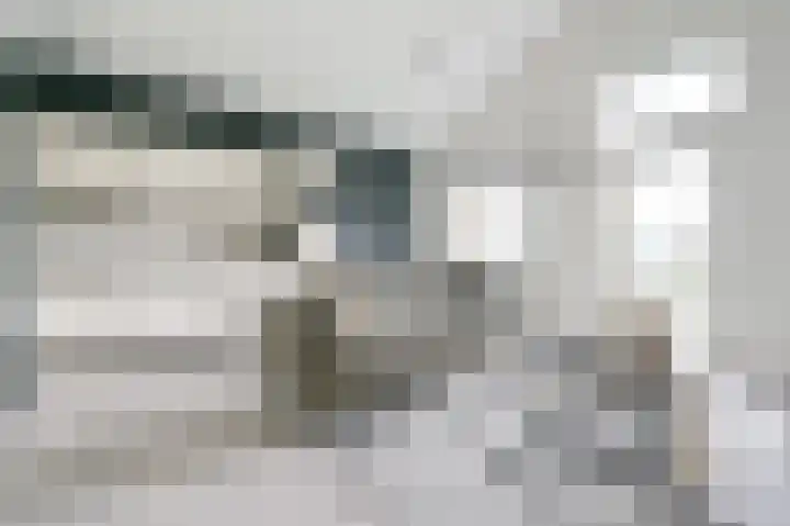 Jan Steenstraat 64 Voorthuizen thumbnail 4