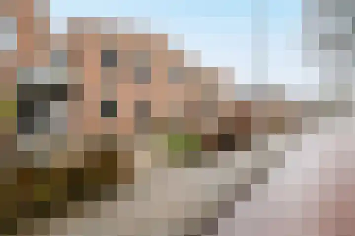 Jan Steenstraat 64 Voorthuizen thumbnail 43