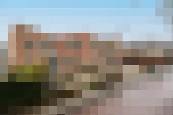 Jan Steenstraat 64 Voorthuizen thumbnail 8