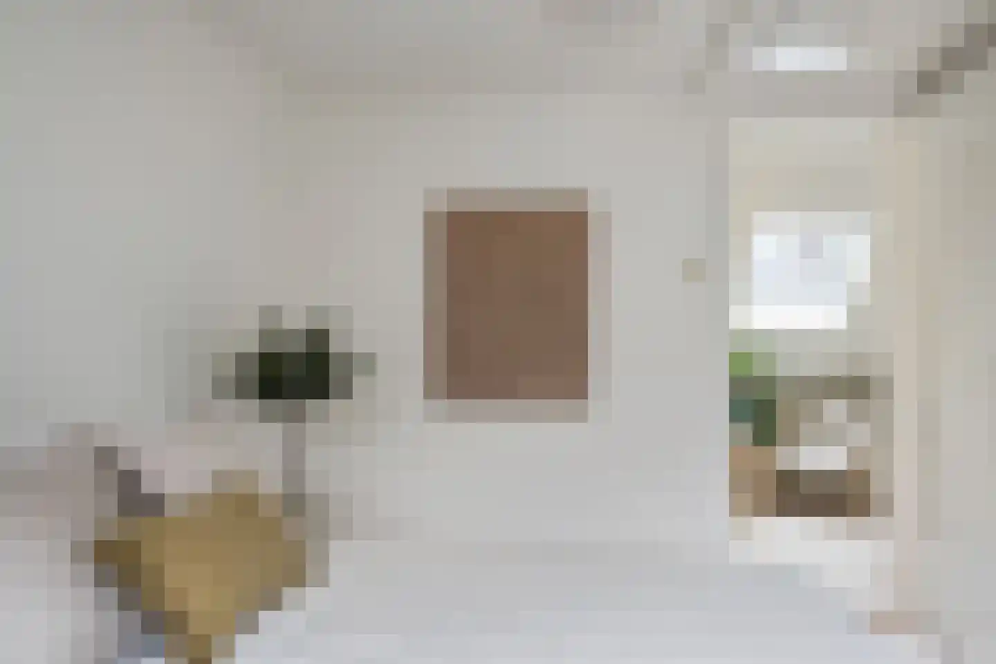 Jan Steenstraat 7 Haarlem thumbnail 16