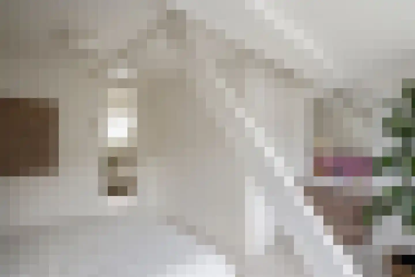 Jan Steenstraat 7 Haarlem thumbnail 17