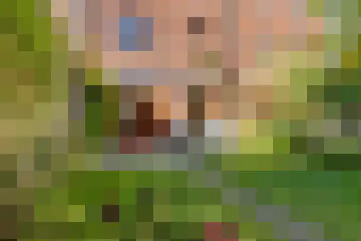 Jan Steenstraat 8 Groningen thumbnail 31