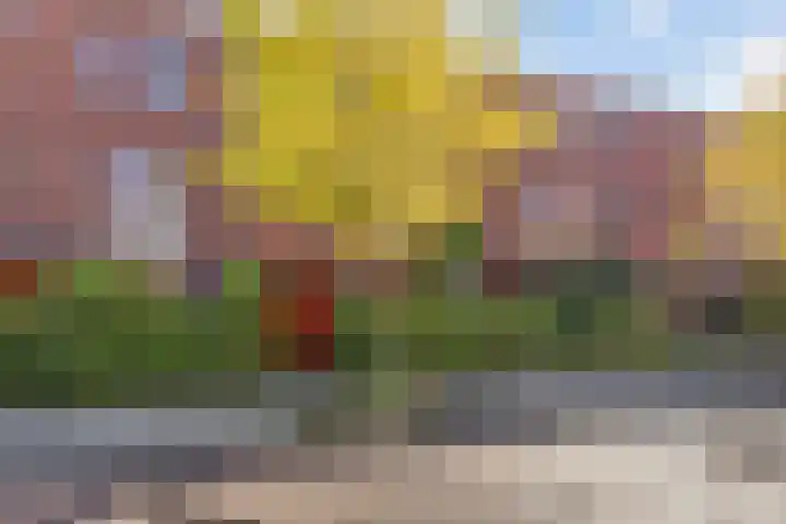 Jan Steenstraat 8 Groningen thumbnail 5