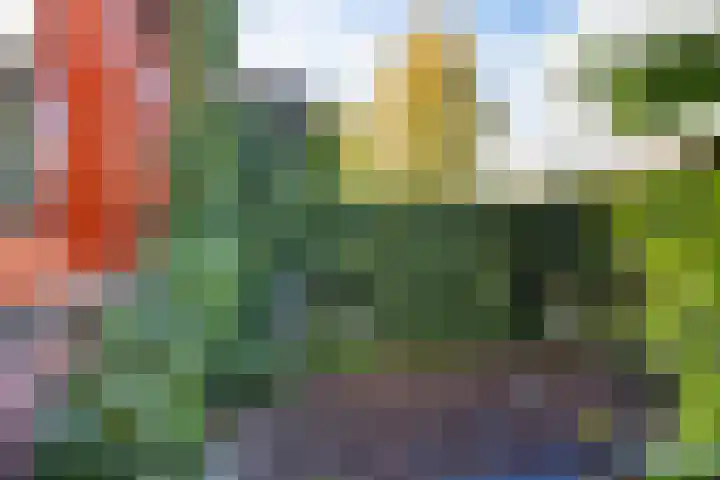 Jan Steenstraat 8 Groningen thumbnail 6
