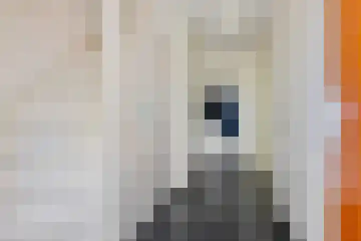 Jan Steenstraat 8 Groningen thumbnail 7