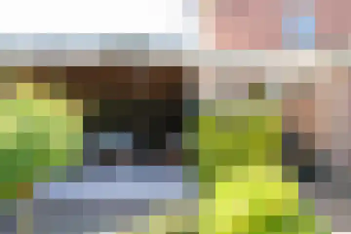 Jan Steenstraat 8 Hengelo thumbnail 33