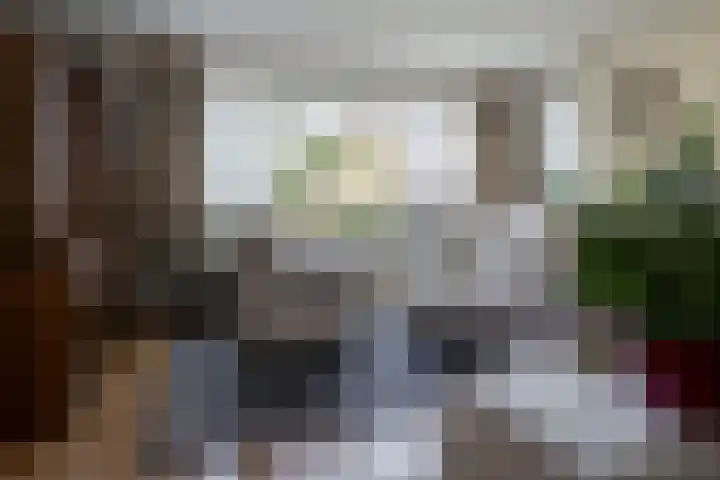 Jan Steenstraat 8 Hengelo thumbnail 7