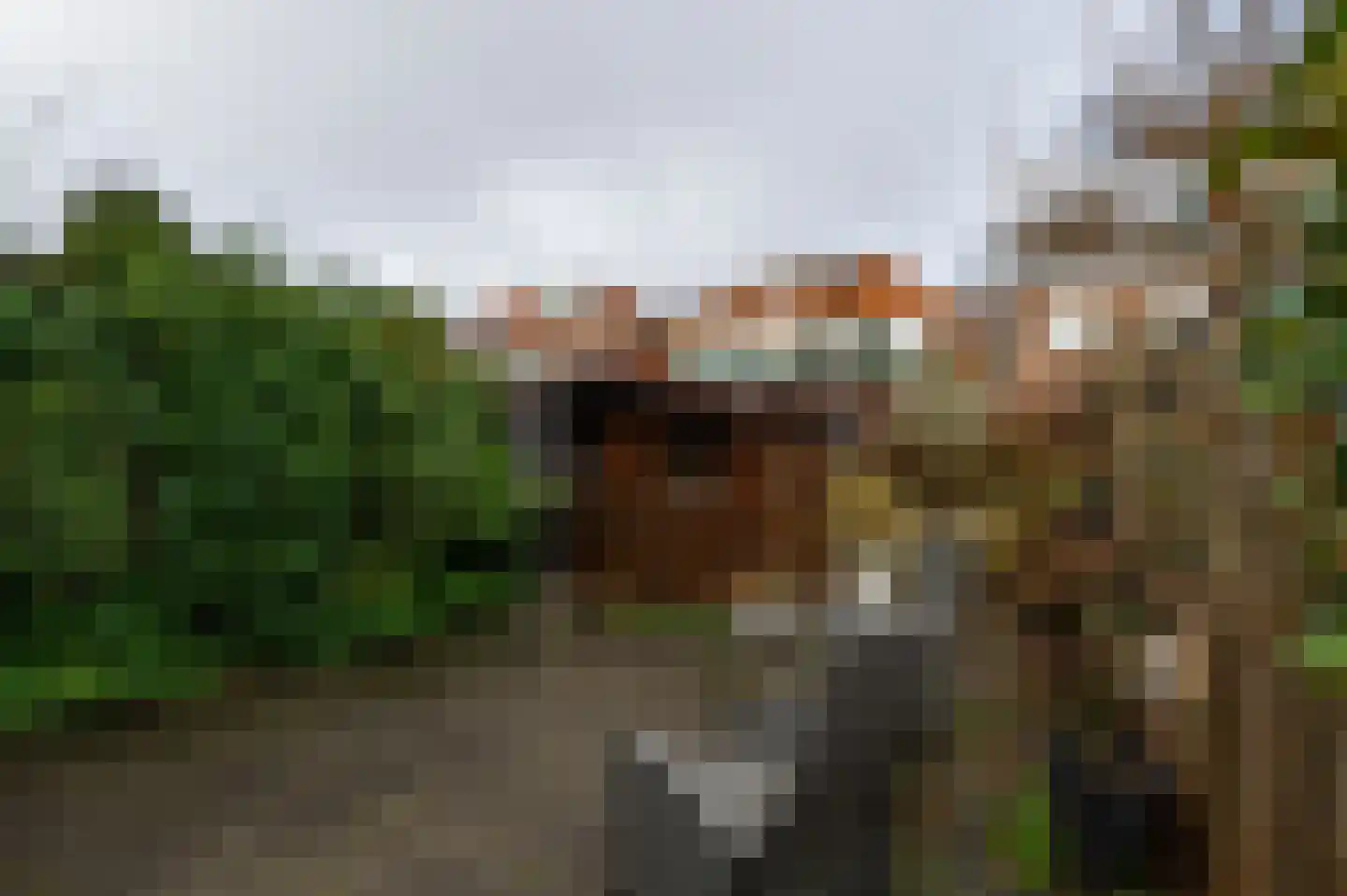 Jan Steenstraat 8 Zaandam thumbnail 20