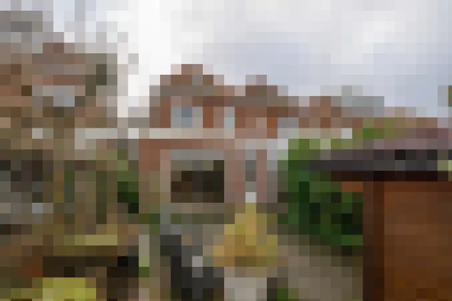 Jan Steenstraat 8 Zaandam thumbnail 5