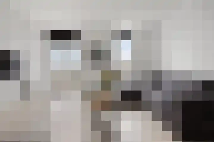 Jan Steenstraat 82 Voorthuizen thumbnail 12