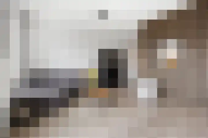 Jan Steenstraat 82 Voorthuizen thumbnail 13