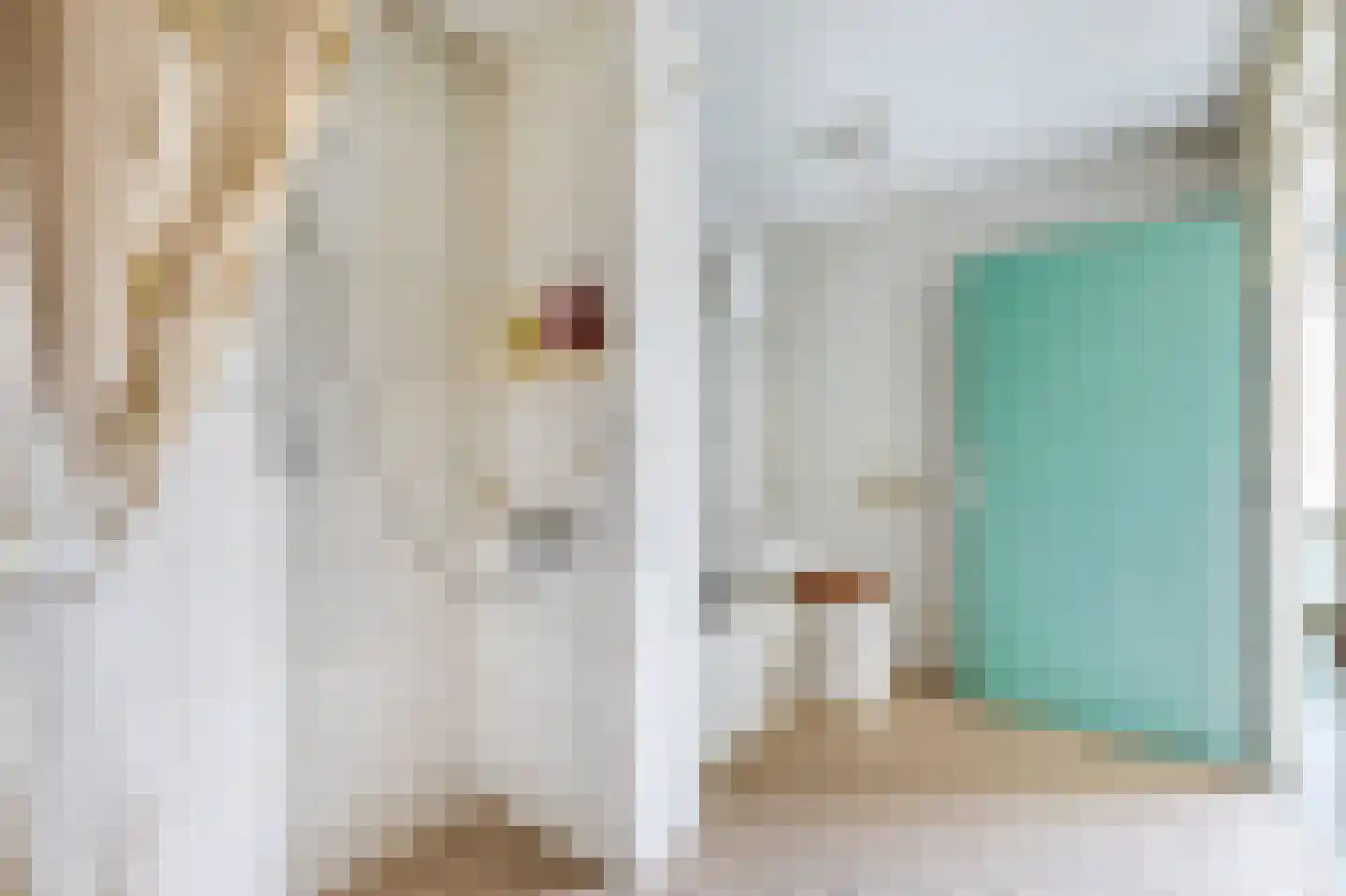 Jan Steenstraat 9 Lisse thumbnail 23