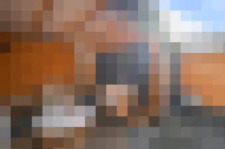 Jan Steenstraat 9 Wormerveer thumbnail 23