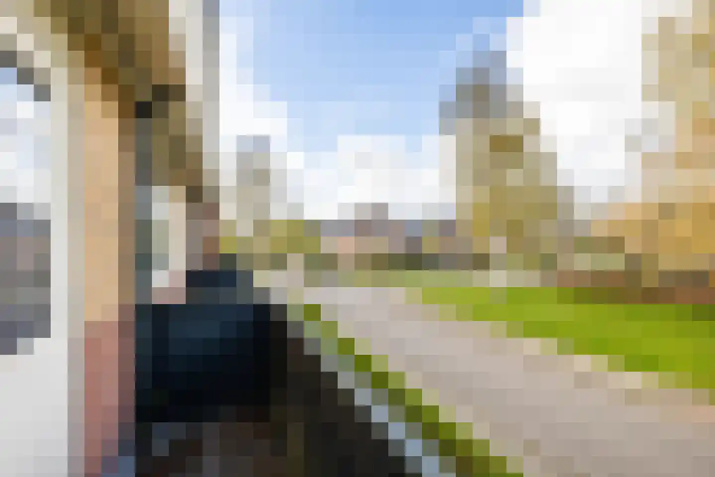 Jan Steenweg 28 Eelde thumbnail 34