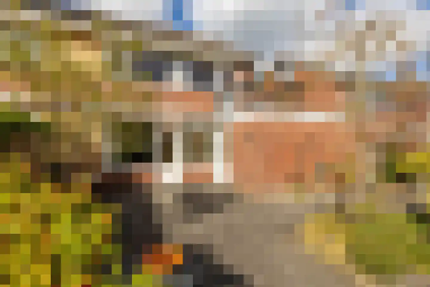 Jan Steenweg 28 Eelde thumbnail 46